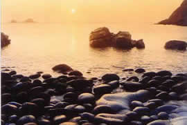 buy cornish prints online#