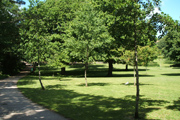 penlee park open area playpark