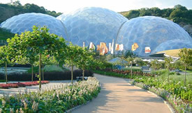 live music arts cornwall visit things to do