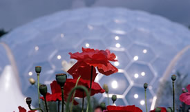 eden project cornwall tourist attractions