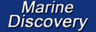 marine discovery penzance boat trips penwith
