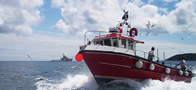 penzance excursions boat trip