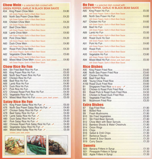 modern chinese takeaway food